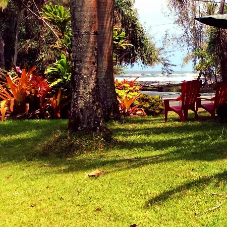 At The Beach With Friends Bed And Breakfast-3